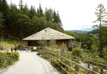 Caru Coed y Brenin reaches final stage of bid to run centre
