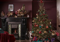 Find the perfect Christmas tree for your space