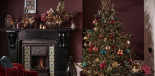 Find the perfect Christmas tree for your space