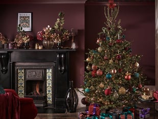 Find the perfect Christmas tree for your space