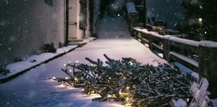 Most common Christmas disasters revealed