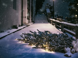 Most common Christmas disasters revealed