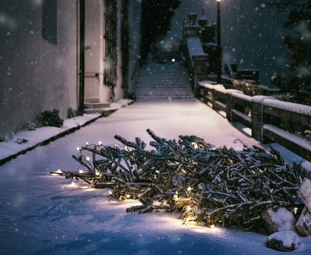 Most common Christmas disasters revealed