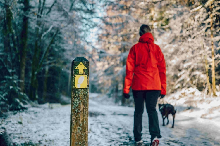 Gwydir Forest Park Natural Resources Wales