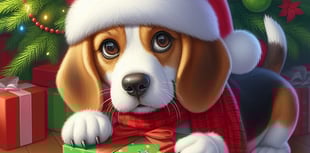 Top Christmas dangers that could put your pet at risk