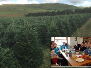 Ceredigion company reveals secrets of growing perfect Christmas tree