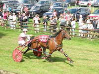 Tairgwaith hosts season-opening trotting action
