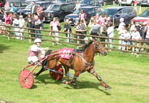 Wales & Border Counties Harness Racing end-of-season review