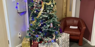 Housing group dubbed "Grinch" for banning Christmas decorations