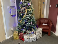 Housing group dubbed "Grinch" for banning Christmas decorations