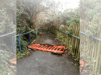Town council to host meeting over Plascrug bridge plans