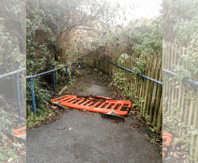 Town council to host meeting over Plascrug bridge plans