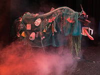 Meet Weedy the sea monster - Criccieth panto's next star of the stage!