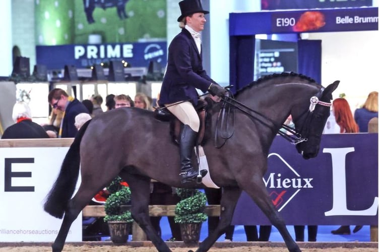 Aberaeron Stud’s Aberaeron Santillana Valentina and Johanna Shaw-Evans