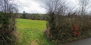 Plans for dog park in Llanddewi Brefi refused over noise concerns