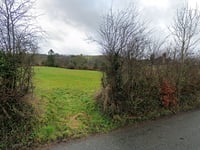 Plans hatched for new dog park in Llanddewi Brefi