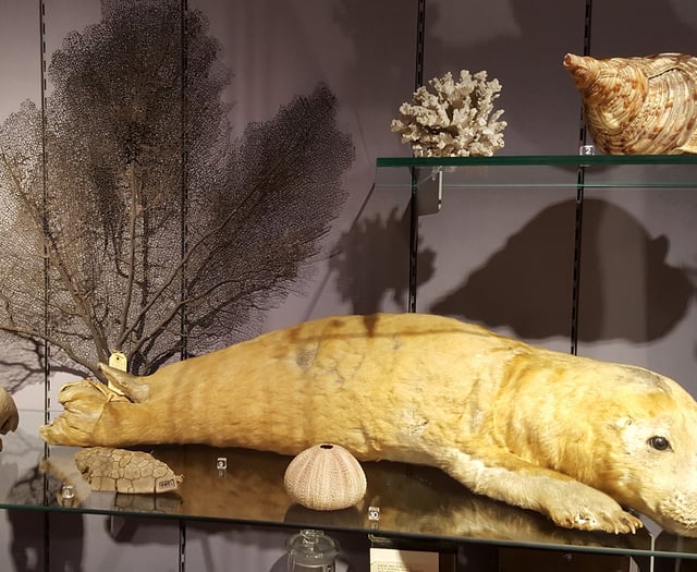 Explore the wonders of our marine environment