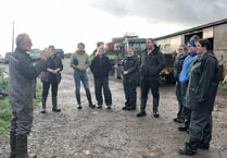 Training programme to encourage more YFC members into the pig industry