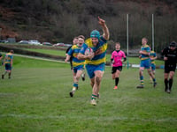 Expansive backline play ensures win for Aberaeron against Neyland