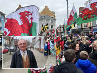 David revealed as ‘Tywysydd’ for this year’s St David’s Day Parade