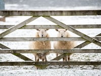 Cold weather continues to affect some schools