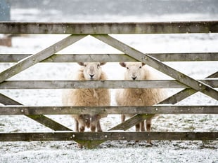 Cold weather continues to affect some schools