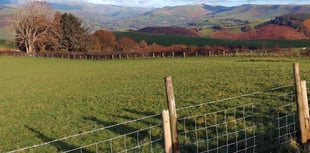 Glyndŵr’s Way awaits Meirionnydd Ramblers