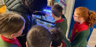 Pupils to learn more about life of trout with classroom hatchery