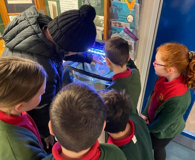 Pupils to learn more about life of trout with classroom hatchery