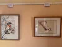 Art exhibition and book of poetry focus on River Teifi pollution
