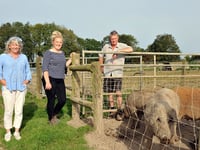 Young entrant helps Teifi pig farmers solve succession dilemma
