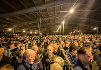 3,000 farmers gather in Carmarthen and say 'enough is enough'