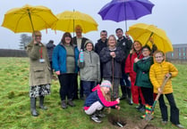 Aberystwyth children plant apple trees in university heritage orchard