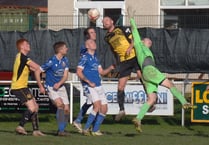 Ardal North East: Williams at the double as Dolgellau march on