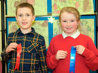 Lluniau a chanlyniadau Eisteddfod Flynyddol Abergynolwyn