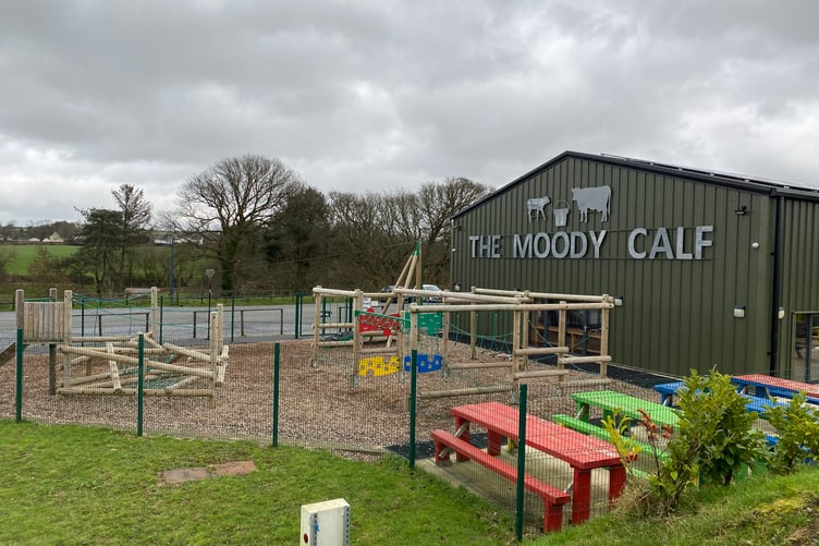 Moody Cow