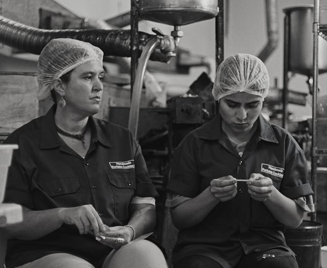 Theatr Mwldan Film Society picks next screening