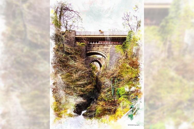 The Three Bridges Kelly Doody