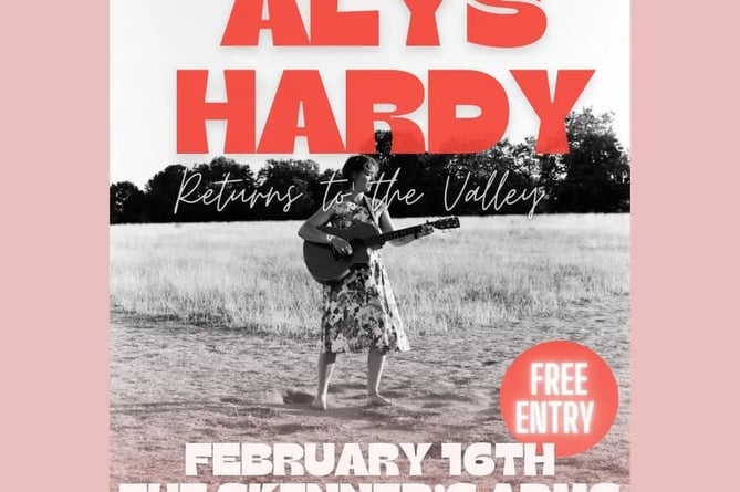 Alys Hardy was due to play at the  Skinners Arms this Friday 16 February