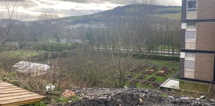 Town council transforms former bowling green into allotments