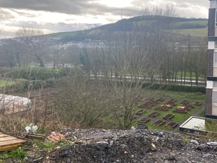 Town council transforms former bowling green into allotments