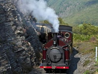 160-year-old locomotive comes to Rheidol Valley