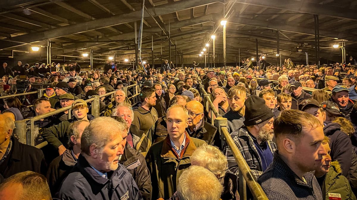 ‘Extreme Concern’ Over New Sustainable Farming Scheme Economic Proj...