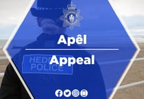 Police launch appeal following sheep attack in Gwynedd