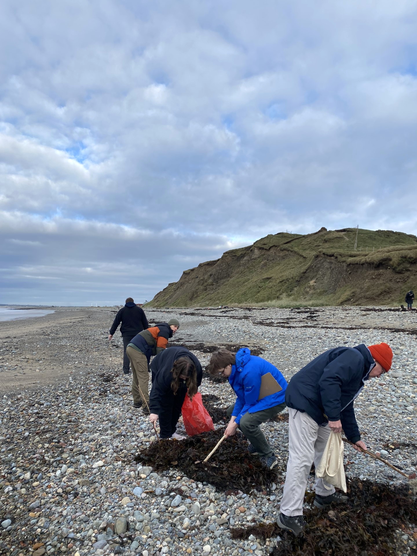 Shark hunts planned on Gwynedd beaches