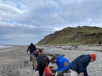Shark hunts planned on Gwynedd beaches