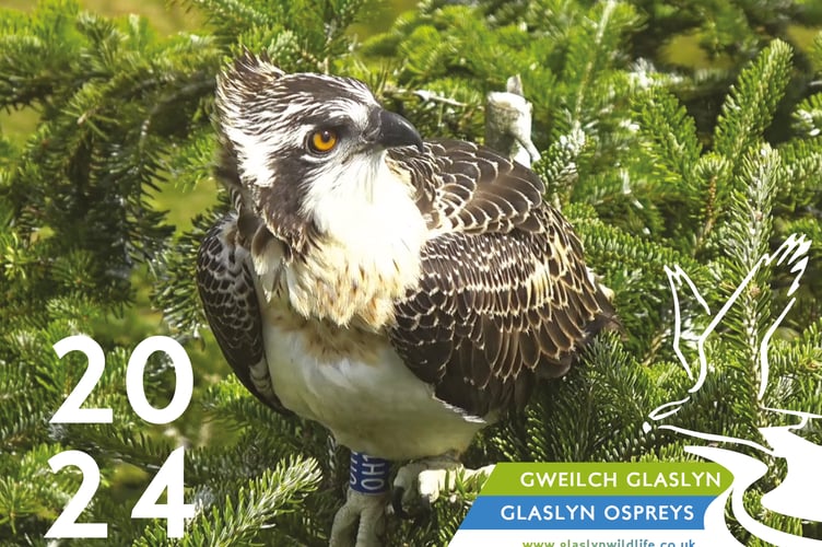 Glaslyn produced a calendar to raise money for the centre