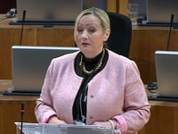 Senedd passes 'stark and painful' budget plan for coming year