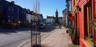 Complaints over tree watering in Mach town centre