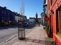 Mach gets breath of fresh air with new street tree planting project